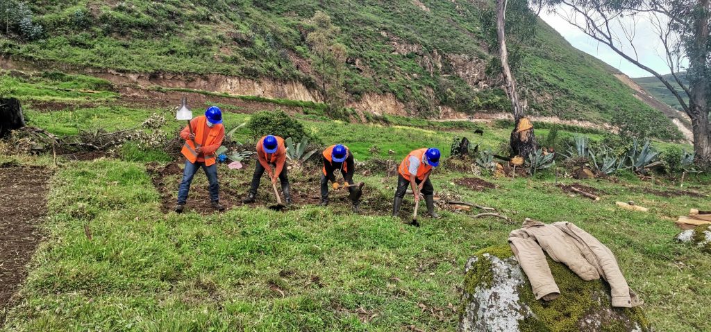 IMG_20210206_082739_optimized