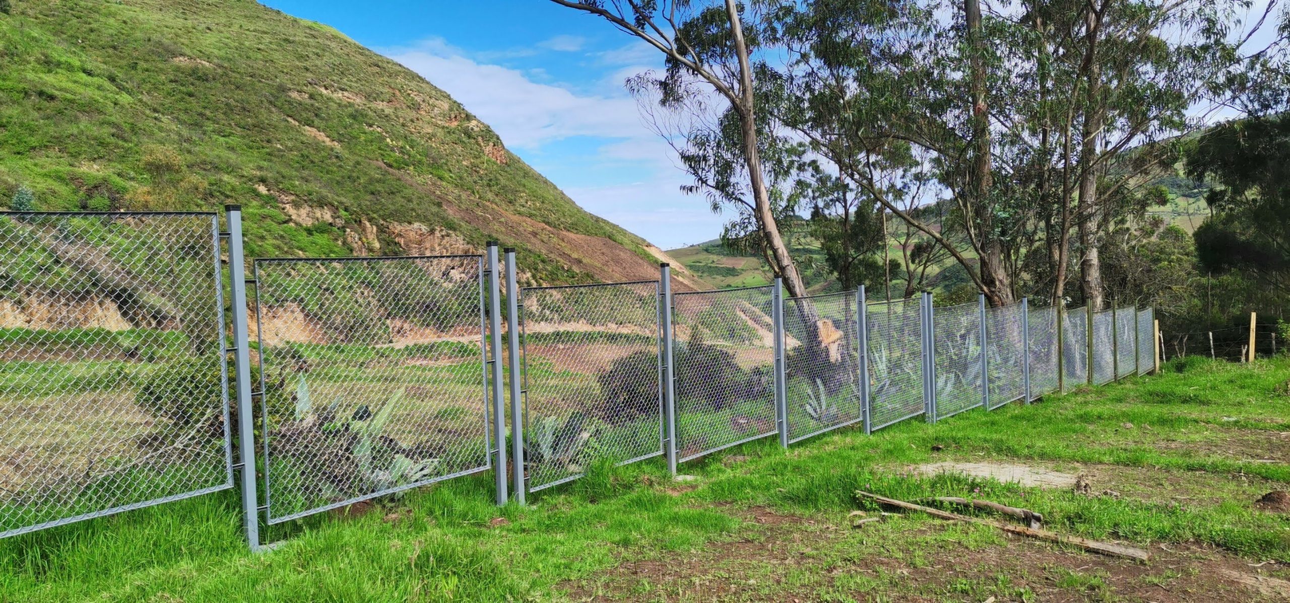 IMG_20210317_085908_optimized